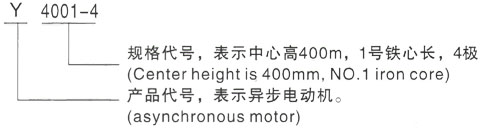 西安泰富西玛Y系列(H355-1000)高压YE2-355M1-8三相异步电机型号说明