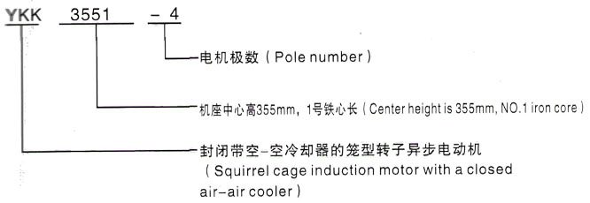 YKK系列(H355-1000)高压YE2-355M1-8三相异步电机西安泰富西玛电机型号说明