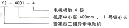 YR系列(H355-1000)高压YE2-355M1-8三相异步电机西安西玛电机型号说明